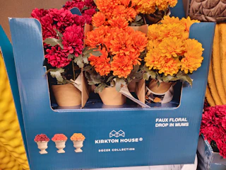 aldi-finds-5