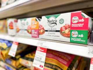 Nutro dog food on shelf