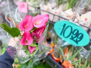 trader-joes-valentine-15