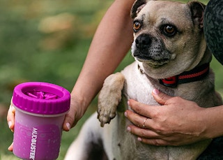 amazon dexus mudbuster 2022 2 1669210896 1669210896