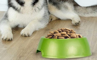 amazon van ness dish 2023 1 1674145124 1674145124