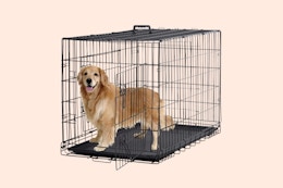 XL Metal Dog Crate, Only $62 at Walmart (Reg. $125) card image