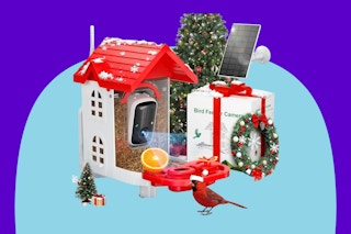  SV3C Bird Feeder with Camera on a blue background.