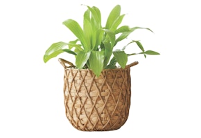 Better Homes & Gardens Basket Planter