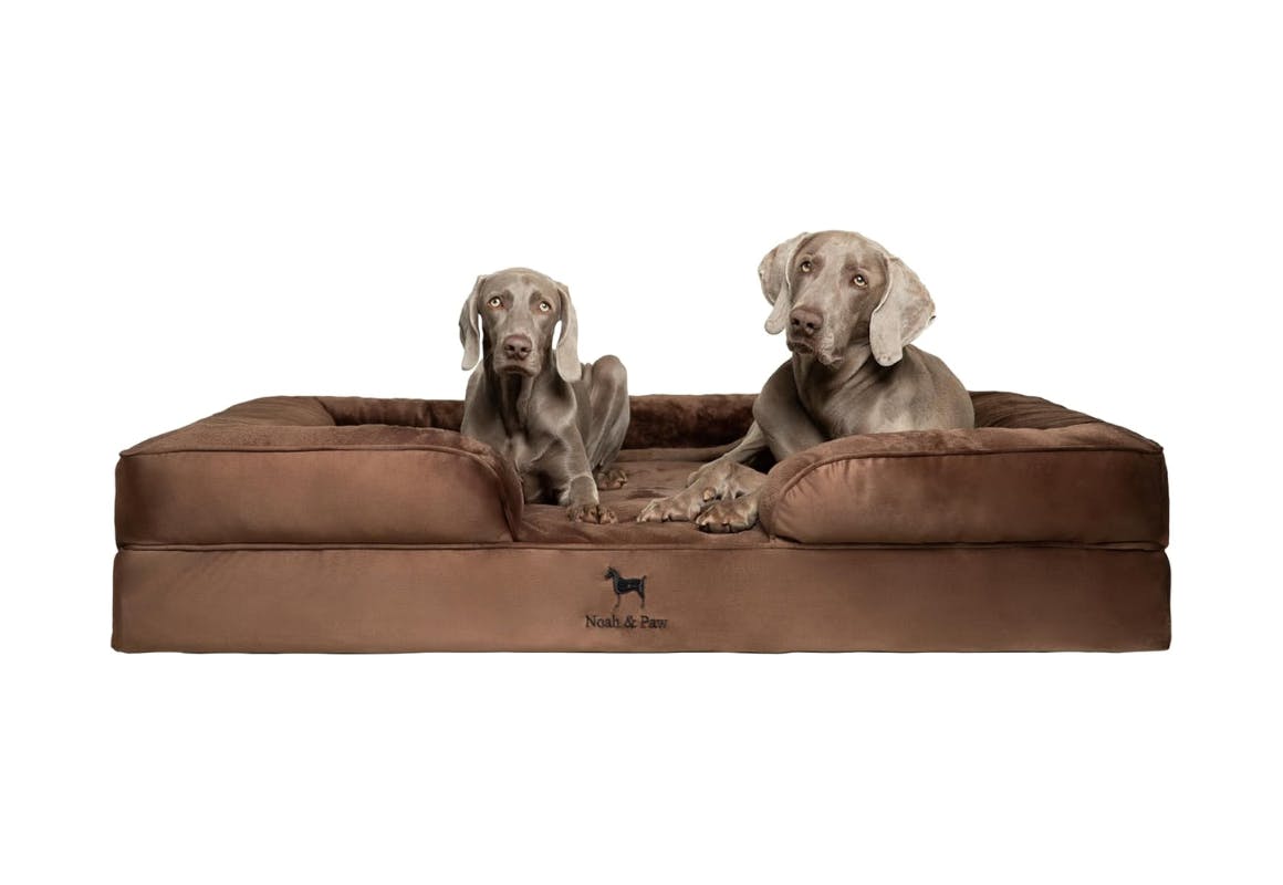 Noah & Paw Giant Dog Bed