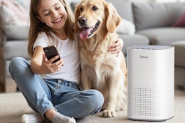4.7-Star-Rated Large Room Air Purifier, $49.97 on Amazon (That's 50% Off) card image