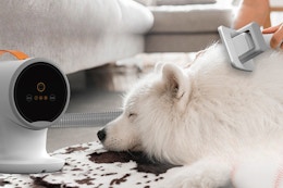 Dog Grooming Vacuum Kit