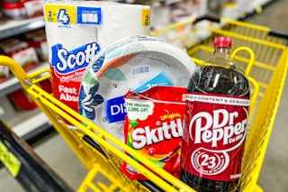 groceries in a dollar general shopping cart