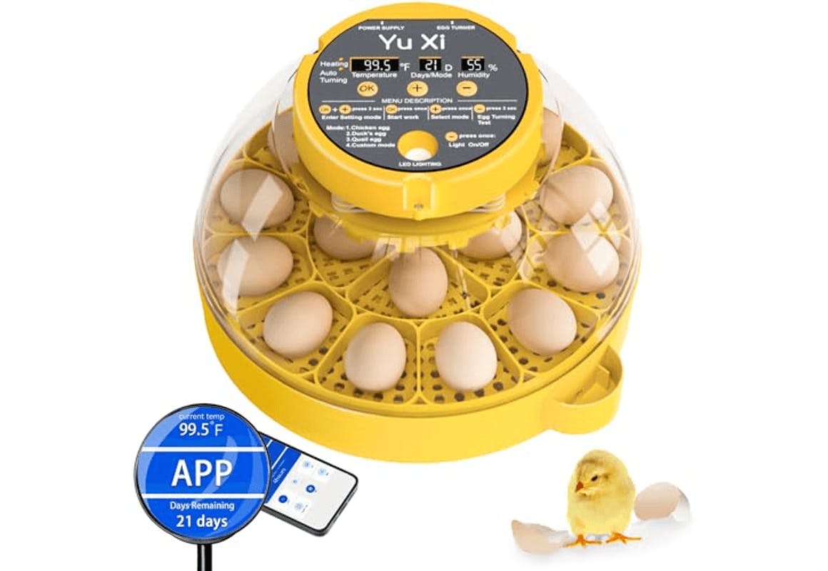 Egg Incubator