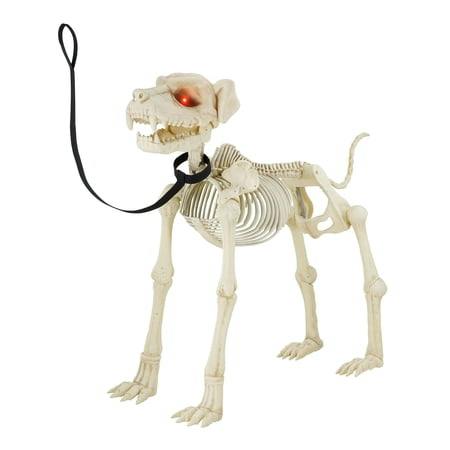 Way To Celebrate Skeleton Dog