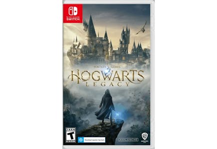 Nintendo Switch Game