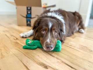 amazon multipet gumby lambchop dog toys 21 1680292473 1680292474