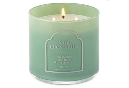 Distant Lands 3-Wick Candle