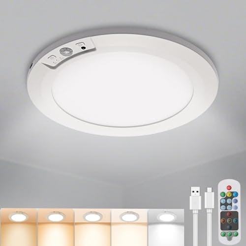 Motion Sensor Ceiling Light