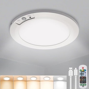 Motion Sensor Ceiling Light
