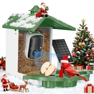 Smart Bird Feeder with Camera