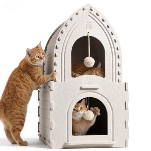 Double-Deck Cat House