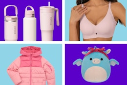 Carote tumblers, women's bra, kids' coat, and dragon squishmallows