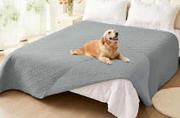 a dog laying on a grey blanket on a bed