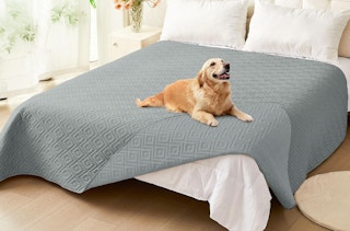 a dog laying on a grey blanket on a bed