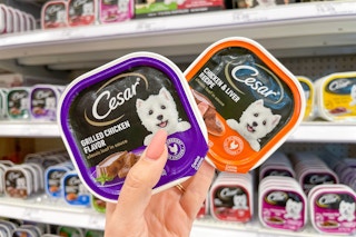 a hand holding two packages of cesar dog food