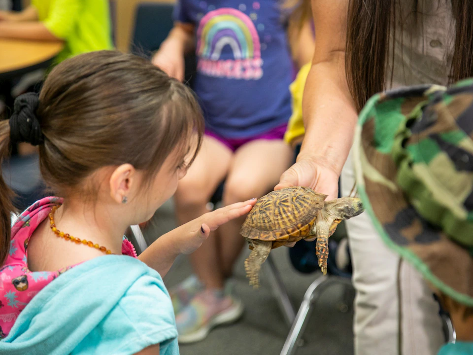 This Grant Helps Teachers Get Classroom Pets for the 2025 School Year ...