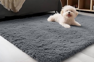 olanly area rug