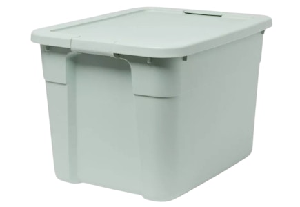 Brightroom Storage Tote