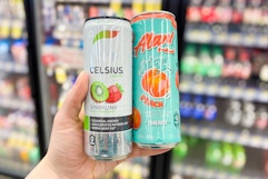 person holding celsius and alani nu energy drinks