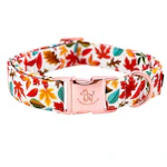 Fall Dog Collar