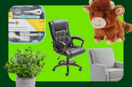 Safety1st health set, office chair, highland cow toy, faux plant, recliner