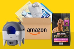 Today's Amazon Deals Are Too Good to Pass Up — Here Are My Top Picks card image