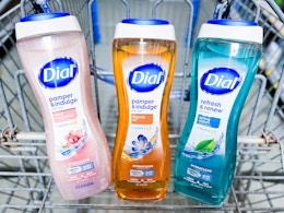 three bottles of Dial body wash in a Walmart cart
