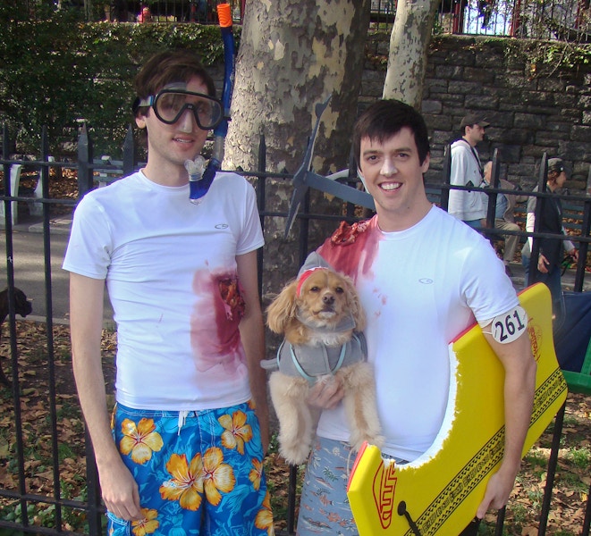 men and dog dressed in shark attack Halloween costumes