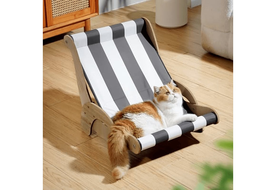 Cat Hammock Chair