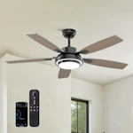 Ceiling Fan with Light