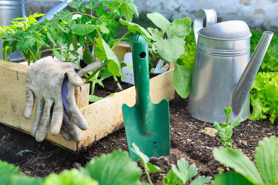 A wooden tray with a plant in it and gardening tools