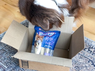 amazon purina busy roll hide 2 1647285687 1647285687