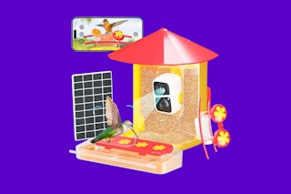 WayCai Bird Feeder Pro up close