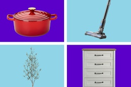 Carote dutch oven, cordless stick vacuum, faux plant, and dresser