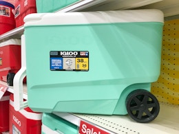 Target Igloo cooler