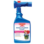 Rose & Flower Plant Care