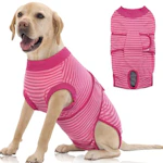 Dog Recovery Suit