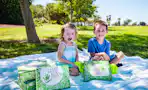 Green Kid Crafts