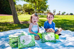 Green Kid Crafts