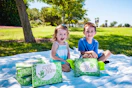 Green Kid Crafts