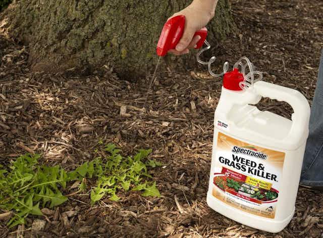 Spectracide Weed & Grass Killer, Only $6.24 on Amazon card image