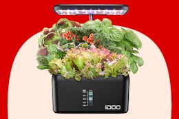 black hydroponic growing system