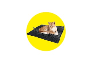 purrfect thermal leopard print self heating pet bed featured image 1676553553 1676553553