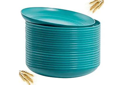 Dinner Plates